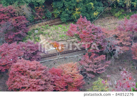 Autumn leaves and track Autumn leaves and track 84852276
