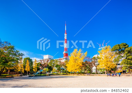 Tokyo Autumn Shiba Park and Tokyo Tower (No. 4 Square) 84852402