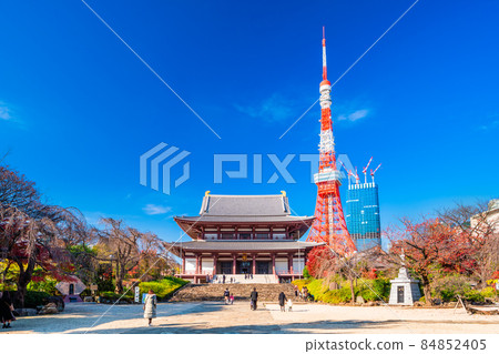 Zojoji Temple in Autumn, Tokyo 84852405