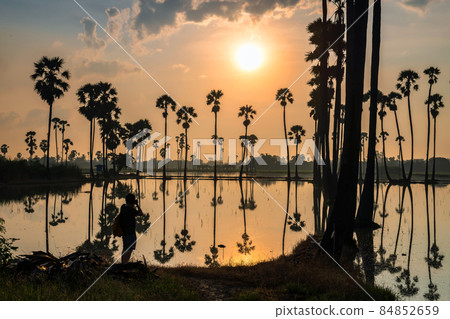Photograph at sugar tree with reflection at sunrise Photograph at sugar tree with reflection at sunrise 84852659