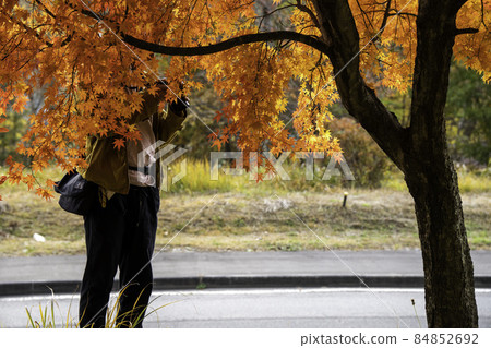 A young man shooting autumn leaves A young man shooting autumn leaves 84852692