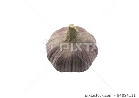 Organic garlic. Fresh garlic bulb isolated on white background, healthy eating, copy space, horizontal 84854111