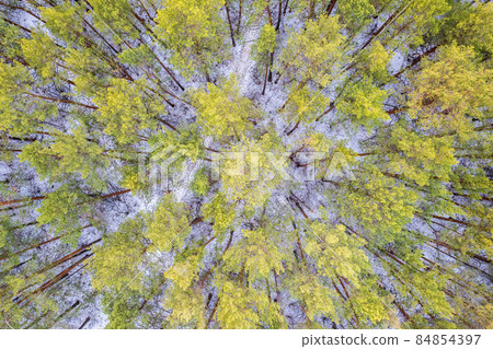 Aerial view of a winter pine forest. Top view of snow-covered pine trees. Beautiful winter forest landscape. Aerial view of a winter pine forest. Top view of snow-covered pine trees. Beautiful winter forest landscape. 84854397