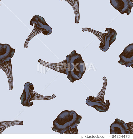 Seamless pattern with hand drawn colored black chanterelle Seamless pattern with hand drawn colored black chanterelle 84854473