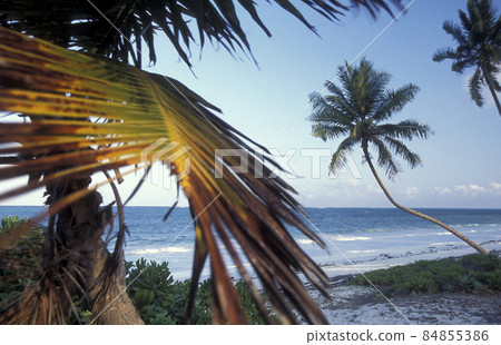 ZANZIBAR BWEJUU EASTCOAST LANDSCAPE 84855386