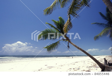 ZANZIBAR BWEJUU EASTCOAST LANDSCAPE ZANZIBAR BWEJUU EASTCOAST LANDSCAPE 84855446