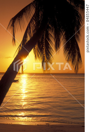 ZANZIBAR BWEJUU EASTCOAST LANDSCAPE ZANZIBAR BWEJUU EASTCOAST LANDSCAPE 84855447