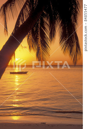 ZANZIBAR BWEJUU EASTCOAST LANDSCAPE ZANZIBAR BWEJUU EASTCOAST LANDSCAPE 84855477