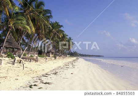 ZANZIBAR BWEJUU EASTCOAST LANDSCAPE ZANZIBAR BWEJUU EASTCOAST LANDSCAPE 84855503