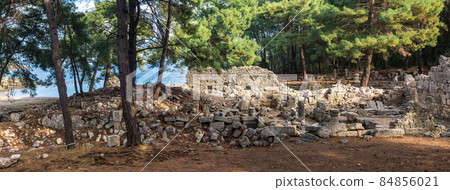 view of the wooded ruins of the ancient city of Phaselis view of the wooded ruins of the ancient city of Phaselis 84856021