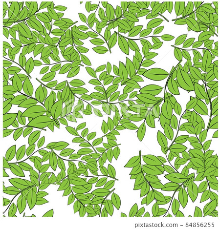 Beautiful closeup of green leaves for decoration design. Abstract green color background. Vector 84856255