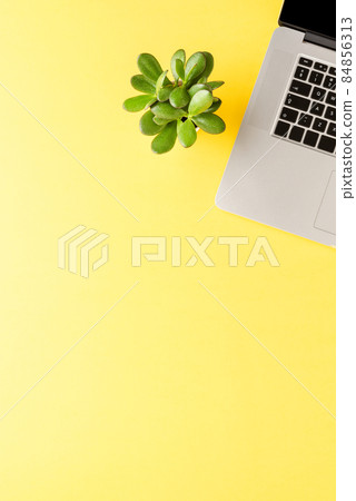 Office desktop. Laptop with small succulent on yellow background with copyspace Office desktop. Laptop with small succulent on yellow background with copyspace 84856313