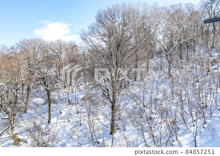 View from the ski lift [Nozawa Onsen Ski Resort, Nagano Prefecture] 84857251