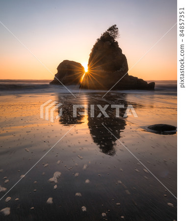 Hitachi City, Ibaraki Prefecture, Higashinamekawa Beach Green Area Morning Hitachi City, Ibaraki Prefecture, Higashinamekawa Beach Green Area Morning 84857351