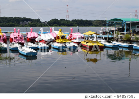 Teganuma Tone River basin Teganuma Tone River basin 84857593