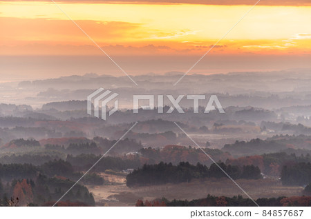 Morning in Kasumigaura City, Ibaraki Prefecture, Mitsuishi Forest Park 84857687