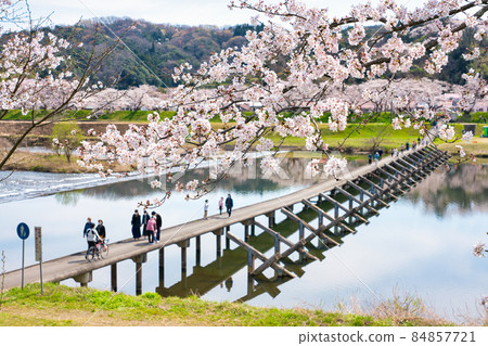 <Shimane Prefecture> Hiikawa embankment cherry blossom trees, Negai Bridge, subsidence bridge <Shimane Prefecture> Hiikawa embankment cherry blossom trees, Negai Bridge, subsidence bridge 84857721