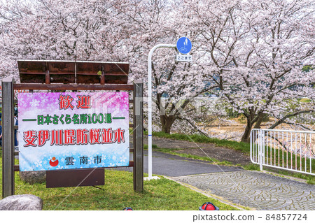 <Shimane Prefecture> Hiikawa embankment Welcome signboard of cherry blossom trees 84857724