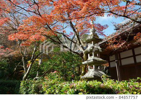 京都市宇京區秋季常寂光寺石塔和秋葉佐賀 京都市宇京區秋季常寂光寺石塔和秋葉佐賀 84857757