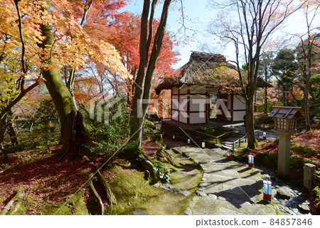 Autumn Jojakkoji Temple Niomon, Saga, Ukyo-ku, Kyoto 84857846