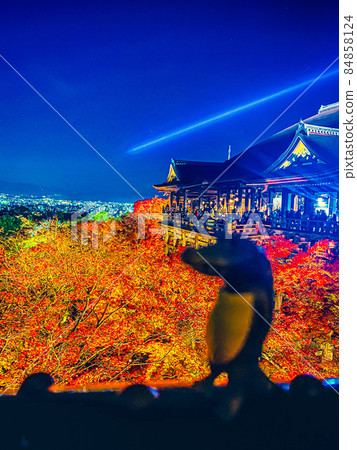 Kiyomizu-dera Temple, Crocodile and Autumn Leaves in Kyoto 84858124