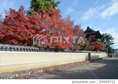 京都市宇京區佐賀市秋天的清涼寺、秋葉與仁王門 84858152