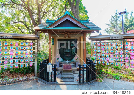 東京都台東區上野公園的上野大佛 84858246