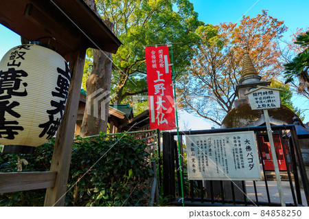東京都台東區上野公園的上野大佛 東京都台東區上野公園的上野大佛 84858250