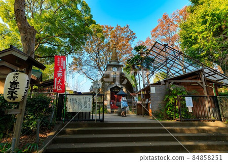 東京都台東區上野公園的上野大佛 東京都台東區上野公園的上野大佛 84858251