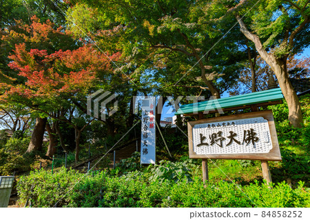 Ueno Daibutsu in Ueno Park, Taito-ku, Tokyo Ueno Daibutsu in Ueno Park, Taito-ku, Tokyo 84858252