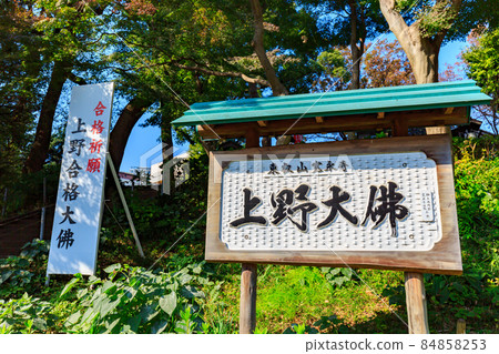 Ueno Daibutsu in Ueno Park, Taito-ku, Tokyo 84858253