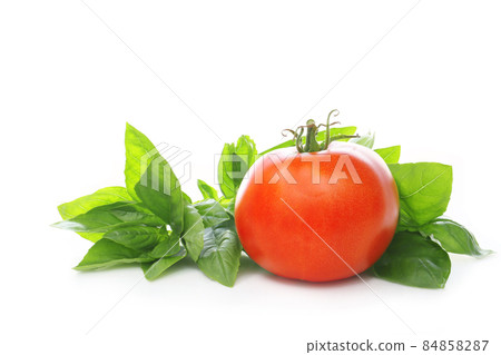 Tomatoes and basil 84858287