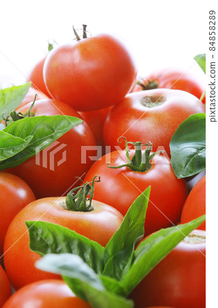 Tomatoes and basil 84858289