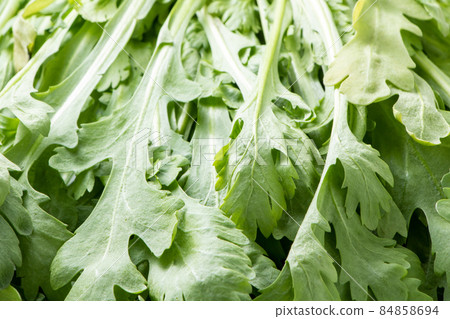 Up of garland chrysanthemum (Kikuna). Up of garland chrysanthemum (Kikuna). 84858694