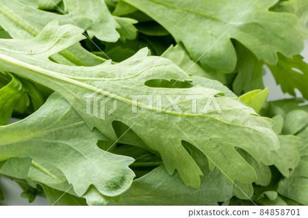 Up of garland chrysanthemum (Kikuna). Up of garland chrysanthemum (Kikuna). 84858701