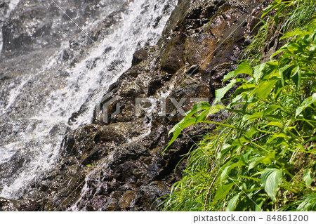 《Hyogo Prefecture》 Quasi-national park, scenery of Tendaki Valley [May] 84861200