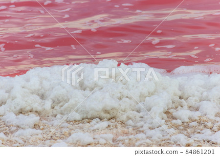 Surface of the pink salty Syvash lake in Kherson region, Ukraine. Natural background, texture 84861201