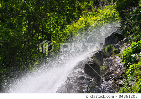 《Hyogo Prefecture》 Quasi-national park, scenery of Tendaki Valley [May] 84861205