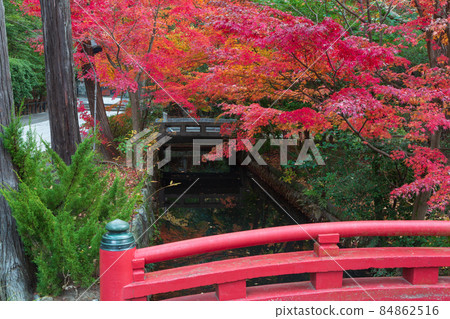 鎌倉國寶館前的紅葉 鎌倉國寶館前的紅葉 84862516
