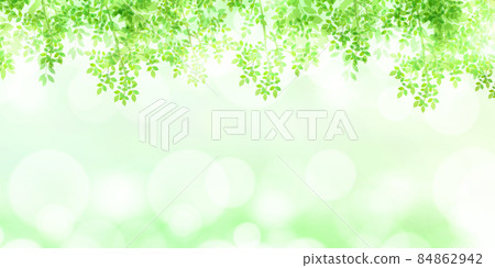 新鮮的綠葉淺色背景 84862942