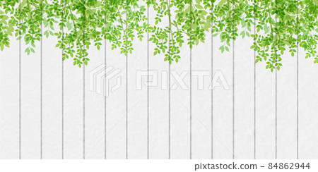 新鮮的綠葉牆背景 新鮮的綠葉牆背景 84862944