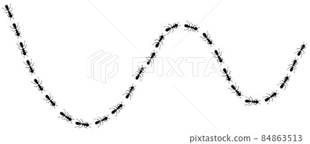 Ants trail curve. Ant path isolated in white background. Vector illustration 84863513