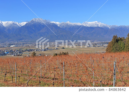冬季安曇野落葉葡萄園和北阿爾卑斯山 84863642