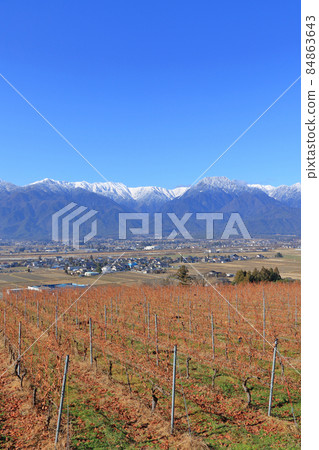 冬季安曇野落葉葡萄園和北阿爾卑斯山 冬季安曇野落葉葡萄園和北阿爾卑斯山 84863643
