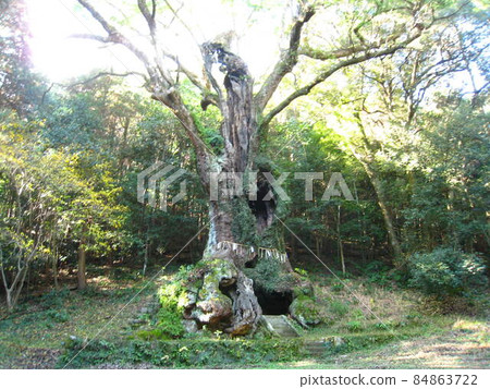 Power spot in Saga Prefecture, Takeo Shrine, Takeo's Okusu Power spot in Saga Prefecture, Takeo Shrine, Takeo's Okusu 84863722