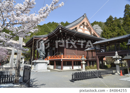 Spring Honjoji Temple, Yamashina Ward, Kyoto City Spring Honjoji Temple, Yamashina Ward, Kyoto City 84864255