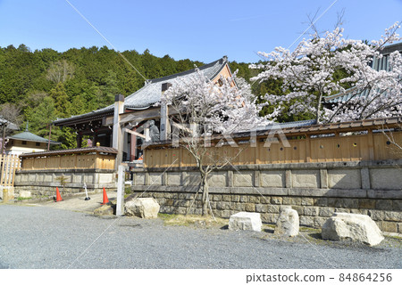 京都市山科區春天的本國寺 84864256