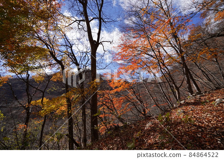 從群馬縣安中市的梅根橋附近，沿著舊中山道的步道攀登的山路。 84864522