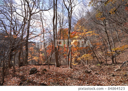 從群馬縣安中市的梅根橋附近,沿著舊中山道的步道攀登的山路。 從群馬縣安中市的梅根橋附近,沿著舊中山道的步道攀登的山路。 84864523