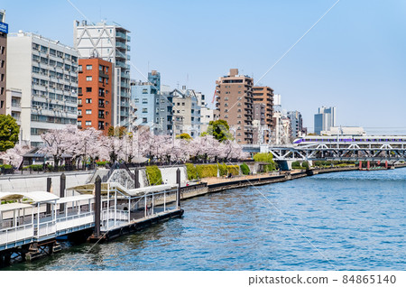 東京台東區春天的隅田川-隅田公園櫻花盛開- 84865140